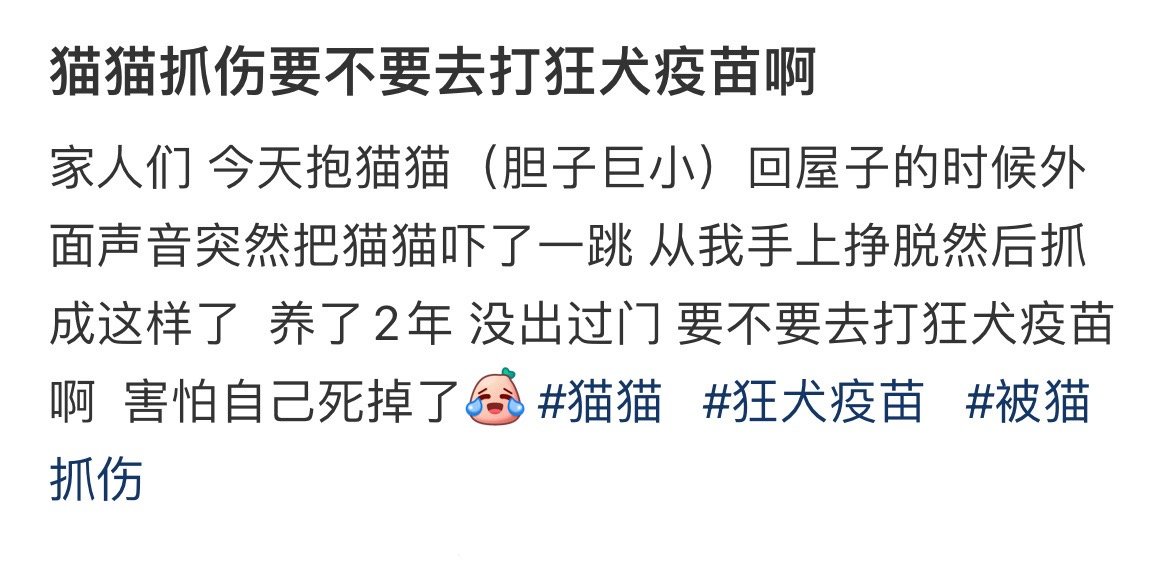 猫猫抓伤要不要去打狂犬疫苗啊​​​