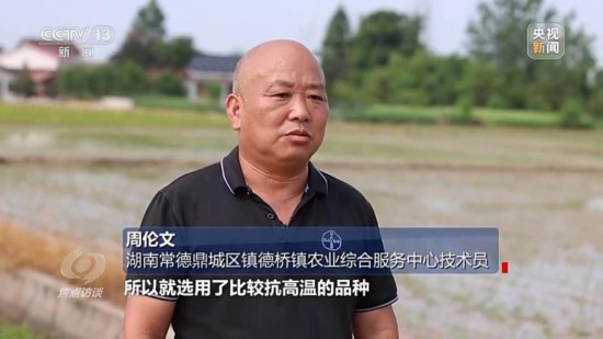 良田+良种+良机+良法 来看山东保丰收秘籍