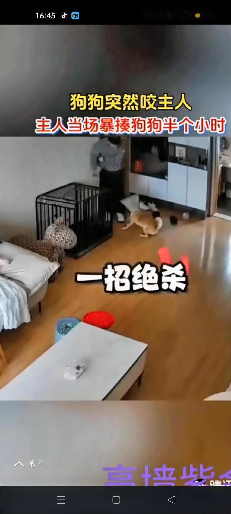 一女子拖地时让丈夫帮忙挪动狗窝，她想把地面清理干净。然而，家里的黄狗不乐意了，突