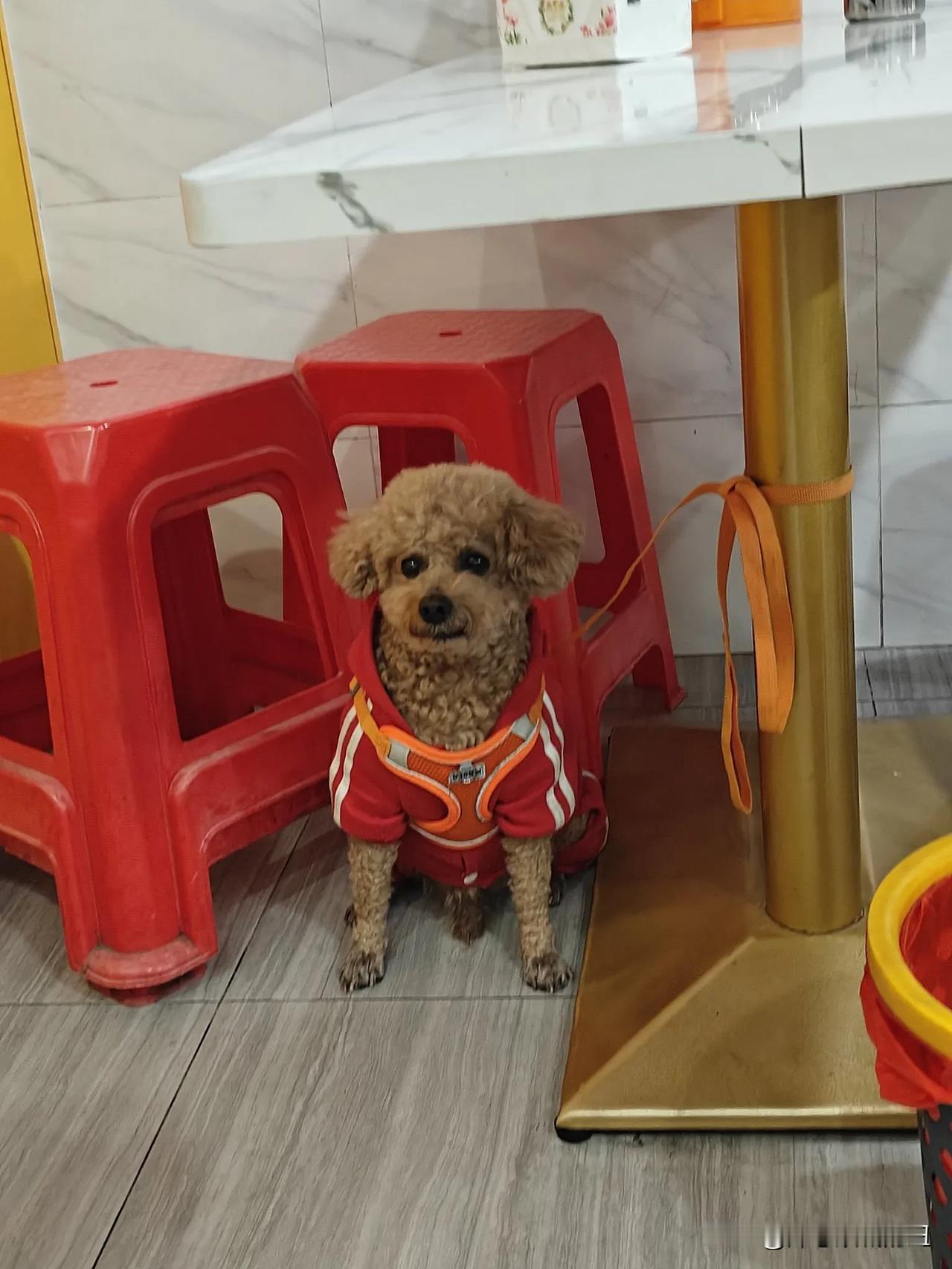 有些家庭一定要生儿子？大亚湾一女邻居，最近二胎刚刚生完，就要准备第三胎了，还是