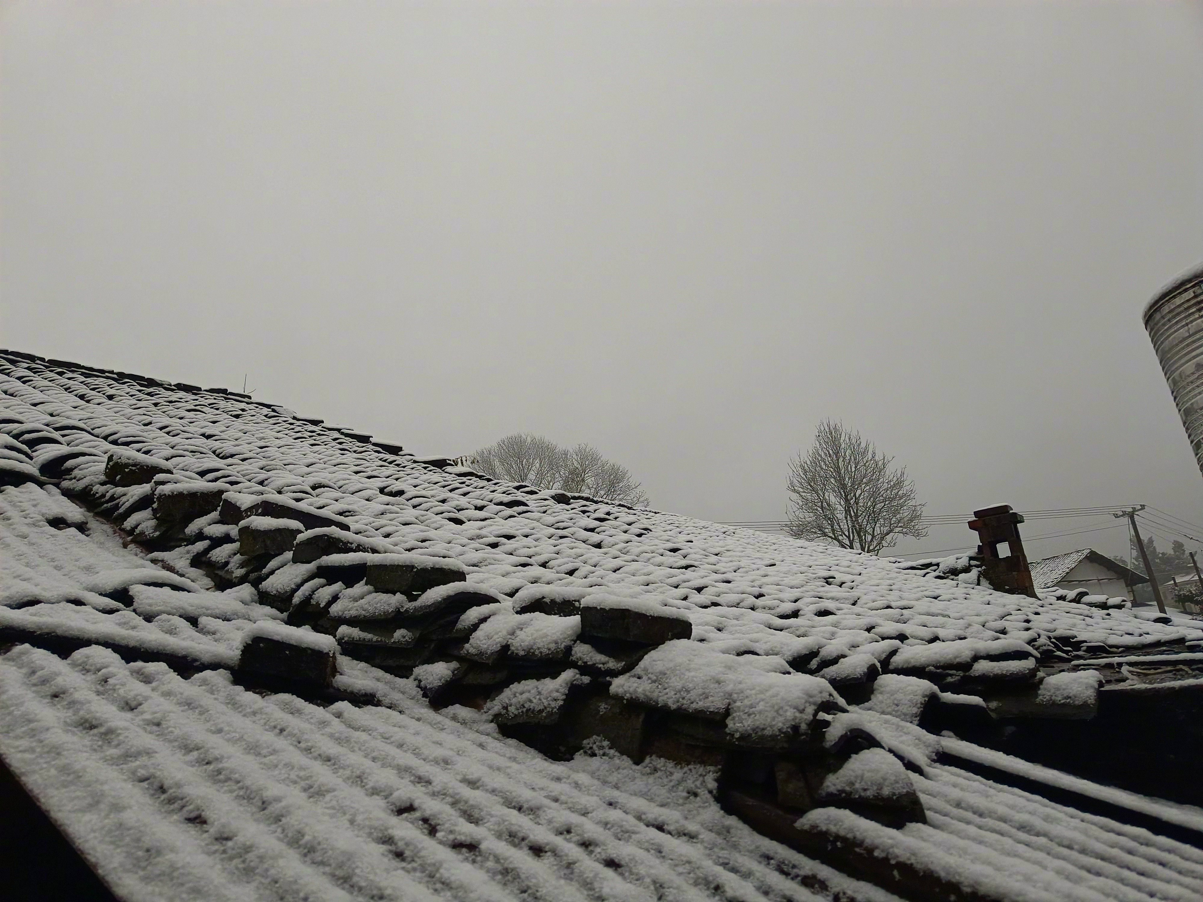 上次下雪……那还是上次[doge]