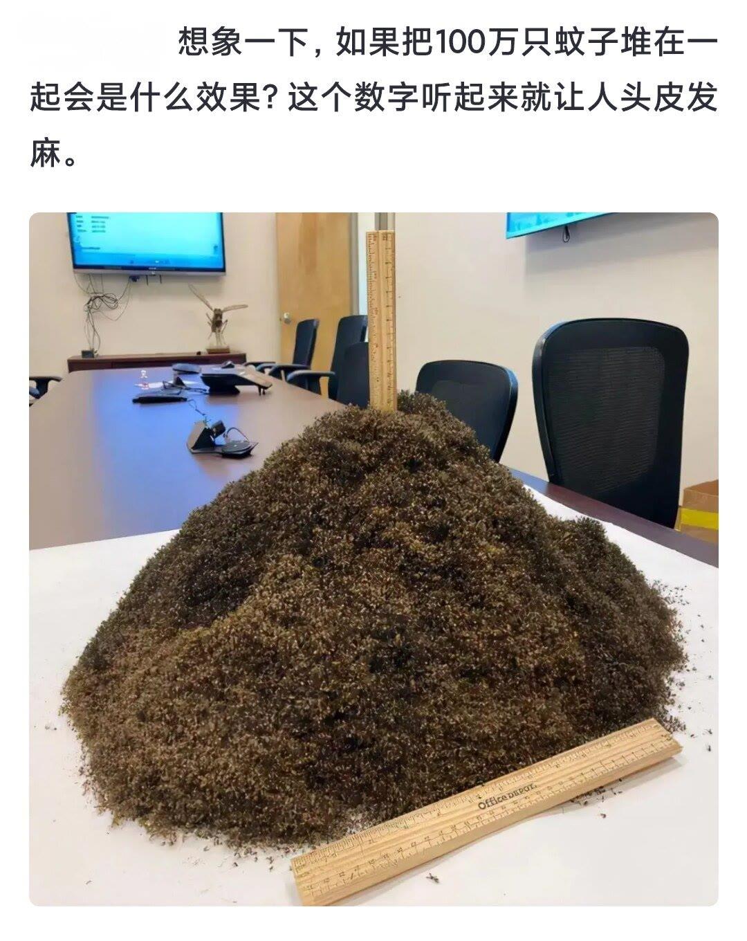 想象一下，如果把100万只蚊子堆在一起会是什么效果？这个数字听起来就让...