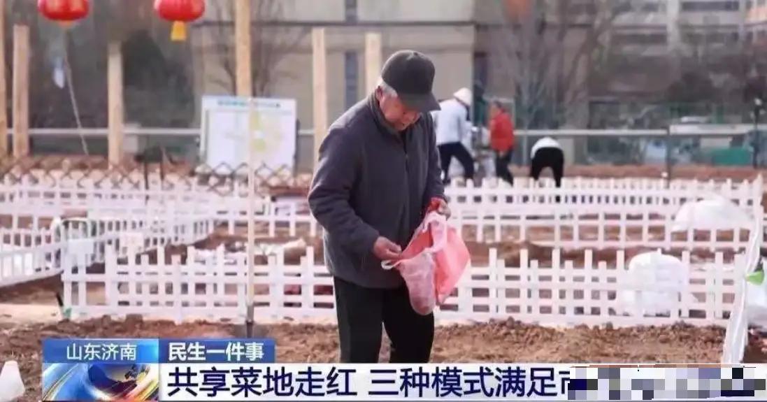 “这脑子真绝了！”济南大哥玩转农田，10亩地秒变“金蛋”，网友惊呆了你见过“