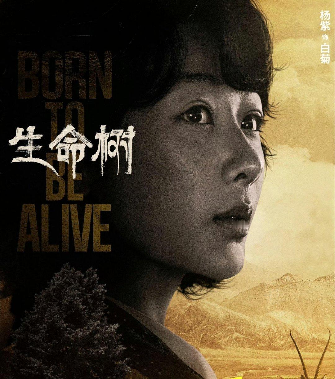 孙俪掉提金鹰奖有一点挺迷惑，你要觉得电视剧有意义，你就给她最佳编剧或者最佳故事片