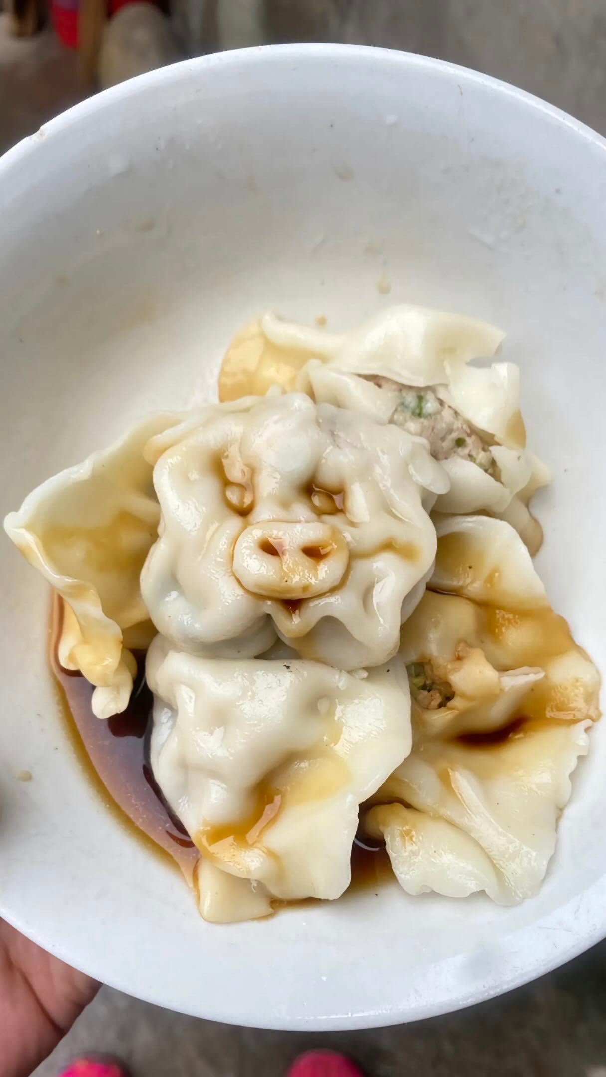 “今天吃到一颗很猪肉的水饺”meme