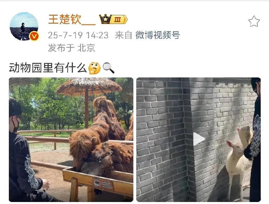 王楚钦最新发动态：动物园里有什么？动物园里有什么？有王楚钦，哈哈哈！头头这一