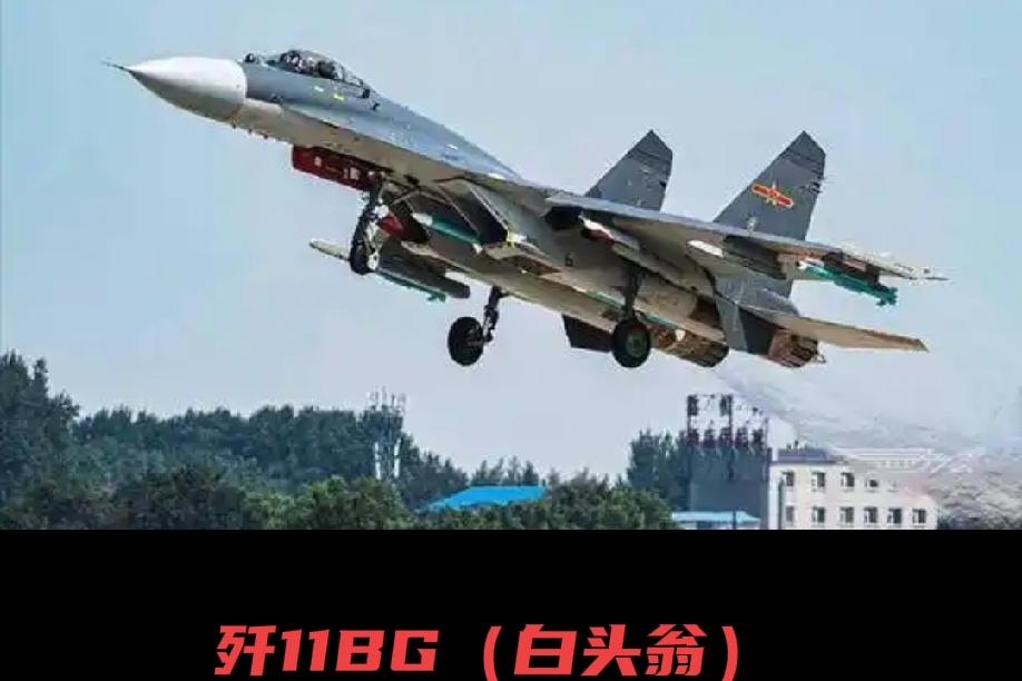 榜单中的第九名应为歼11BG，因为歼11BG为歼11B的深度升级版，歼11则为最