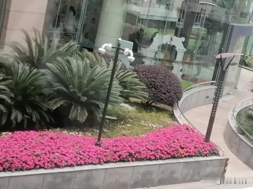 内耗是健康最大的敌人。今天来医院，看见一个收费标准：其中的床位费一天3000元（