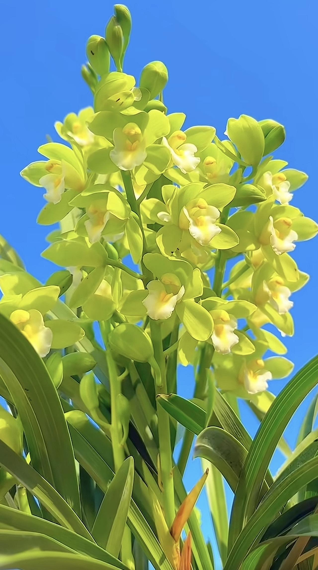 一位心内科医生跟我说：“你养生，吃再好的补品，哪怕每天跑一万步，都白搭。养生