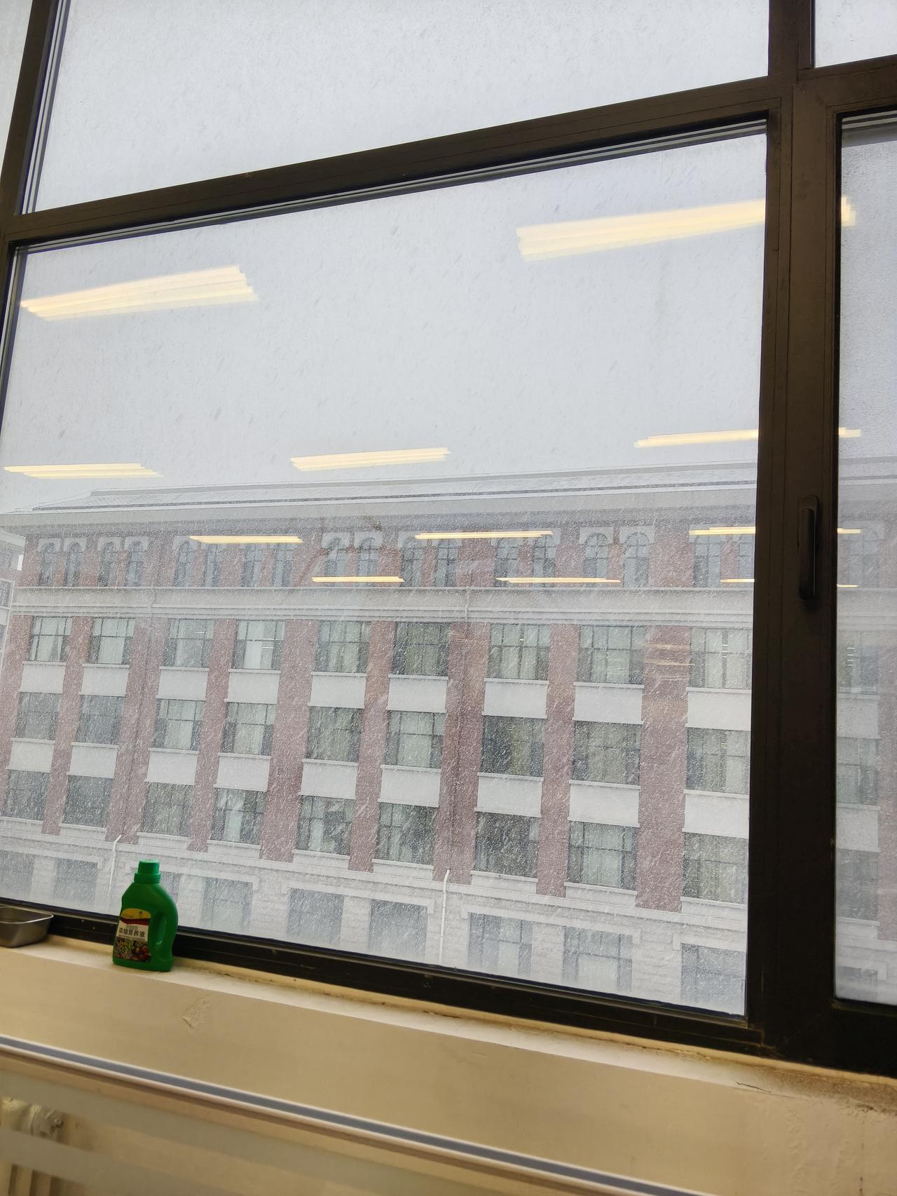 安史之乱的祸首，为什么都被儿子杀了？安禄山造反以后，长子安庆宗被唐玄宗杀死，