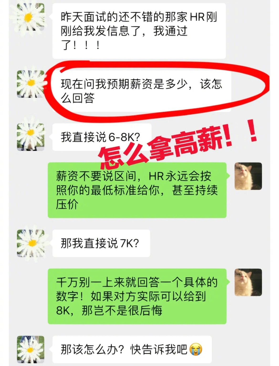 终于知道面试怎么谈薪了，放心大胆多争取！​​​