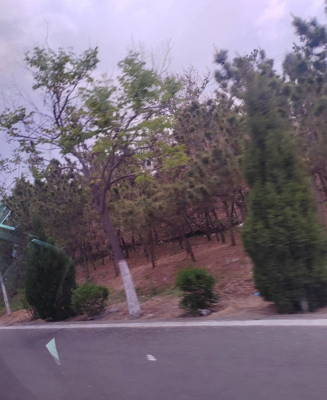 我老公终于知道钱的重要性了！这段时间搬家买房，到处看房子。一开始我老公雄心壮志，