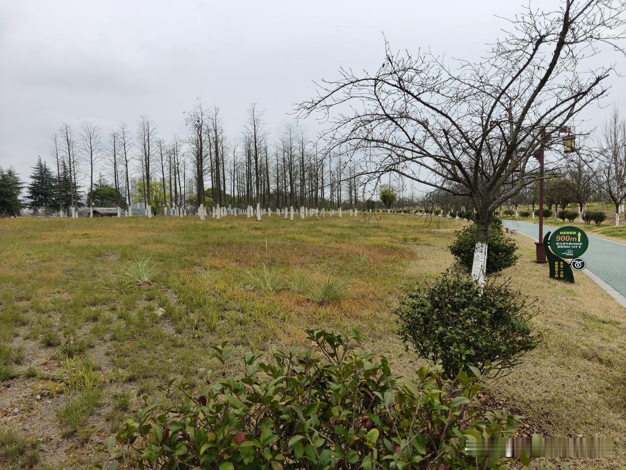一句话证明你老了！字数越少越好看到美女不再冲动，证明你真的老了！