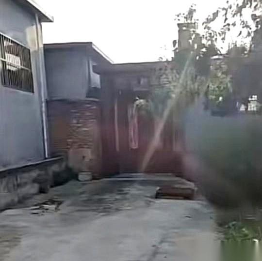 处心积虑想靠肚子上位分家产，结果钱没捞着，金龟婿跑了，连这辈子做母亲的底牌都给彻