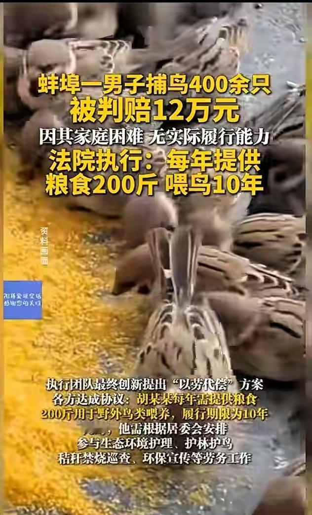 蚌埠男子捕鸟400只后续震撼全网：法院判他喂鸟十年，12万赔偿金背后的温情执法与