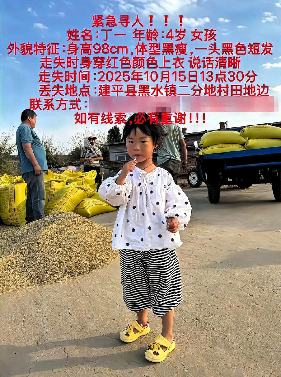 4岁女童在辽宁朝阳市车内熟睡后失踪，家人及社会各界已展开大规模搜救行动超过33小