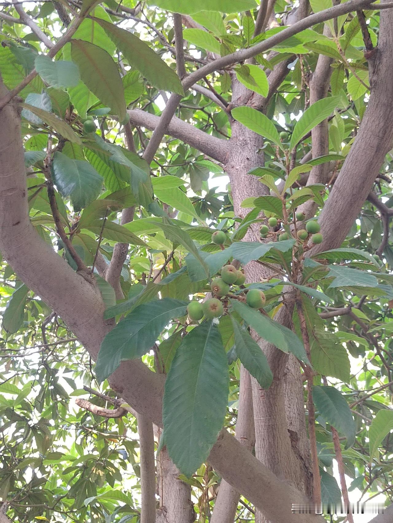 父母老了去养老院生活好不好?前些天，朋友把老爸送进了养老院！朋友姊妹三个。