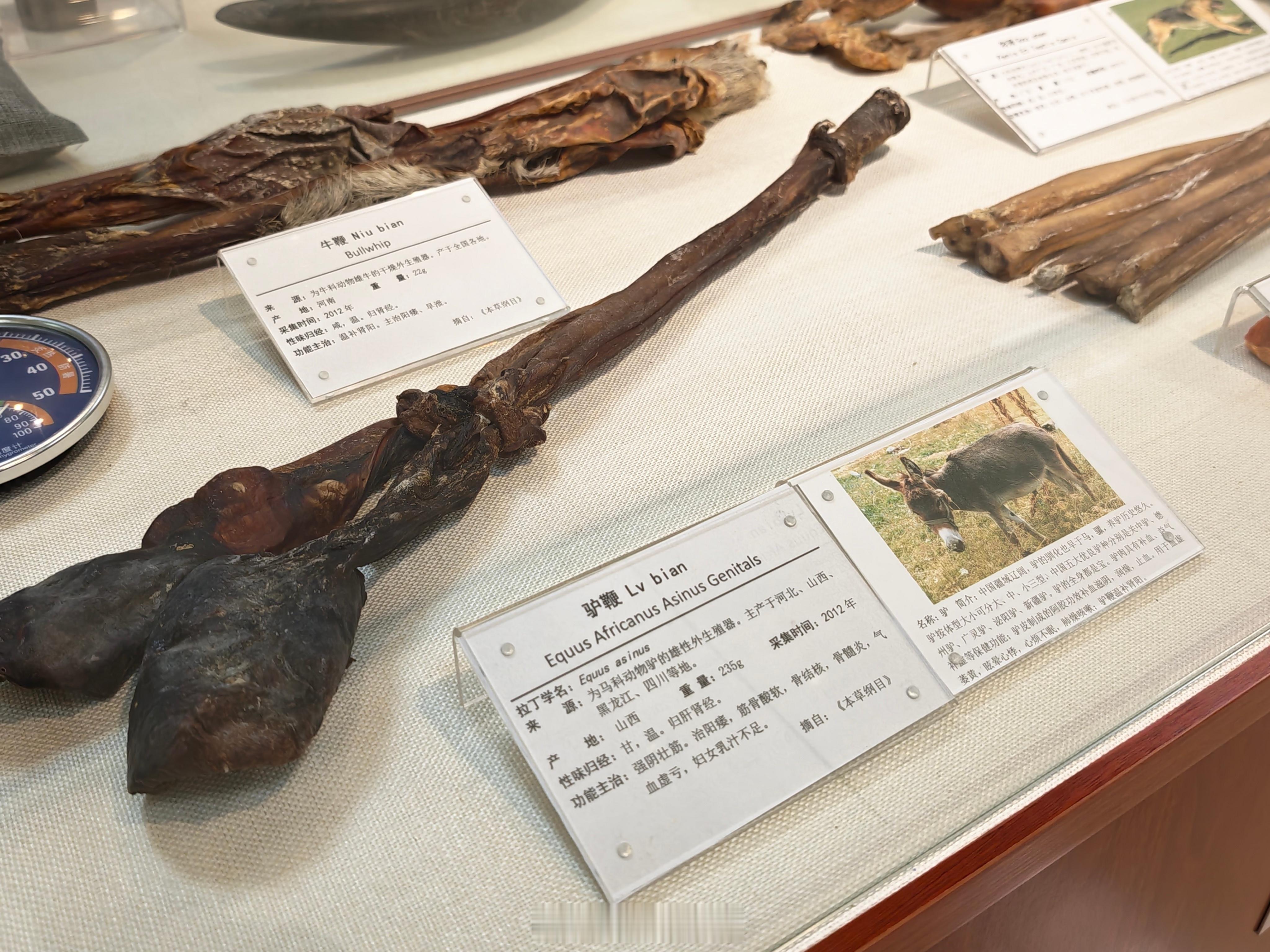 路过北中药深圳医院，查查血糖尿酸指标，指标还好，嘱咐平常注意饮食就行完事后顺便参
