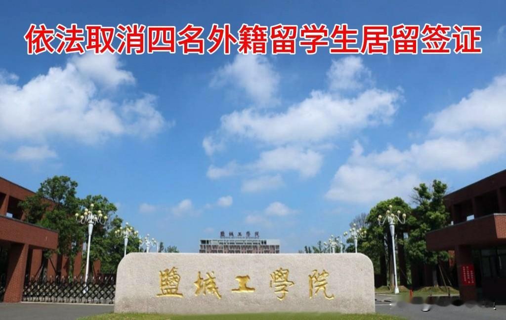 【依法取消四名外籍留学生居留签证】开放不纵容，友好不溺爱！留学生在华，必须守