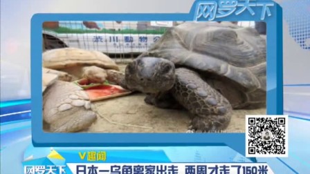 5219312162289735937.jpg?id=0