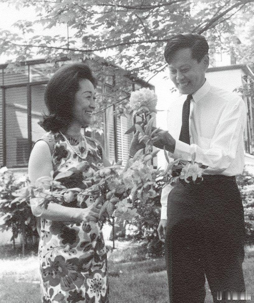 图1：1966年夏天，杜致礼和杨振宁于普林斯顿住宅留影图2：1993年11月，杨