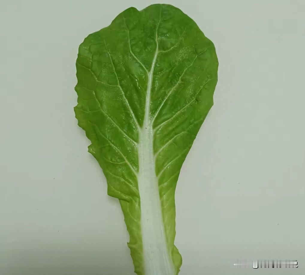 真的假的？有人说发一片青菜写一些字就能得到很好的流量。好，我偏偏不信这个邪。