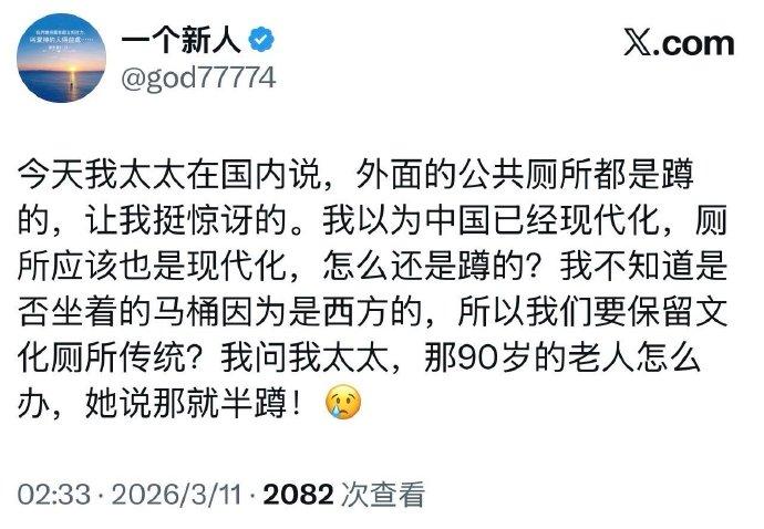 这些人脑子坏掉了，公共厕所必须是蹲坑啊。谁告诉你一定要马桶才是先进才是文明？