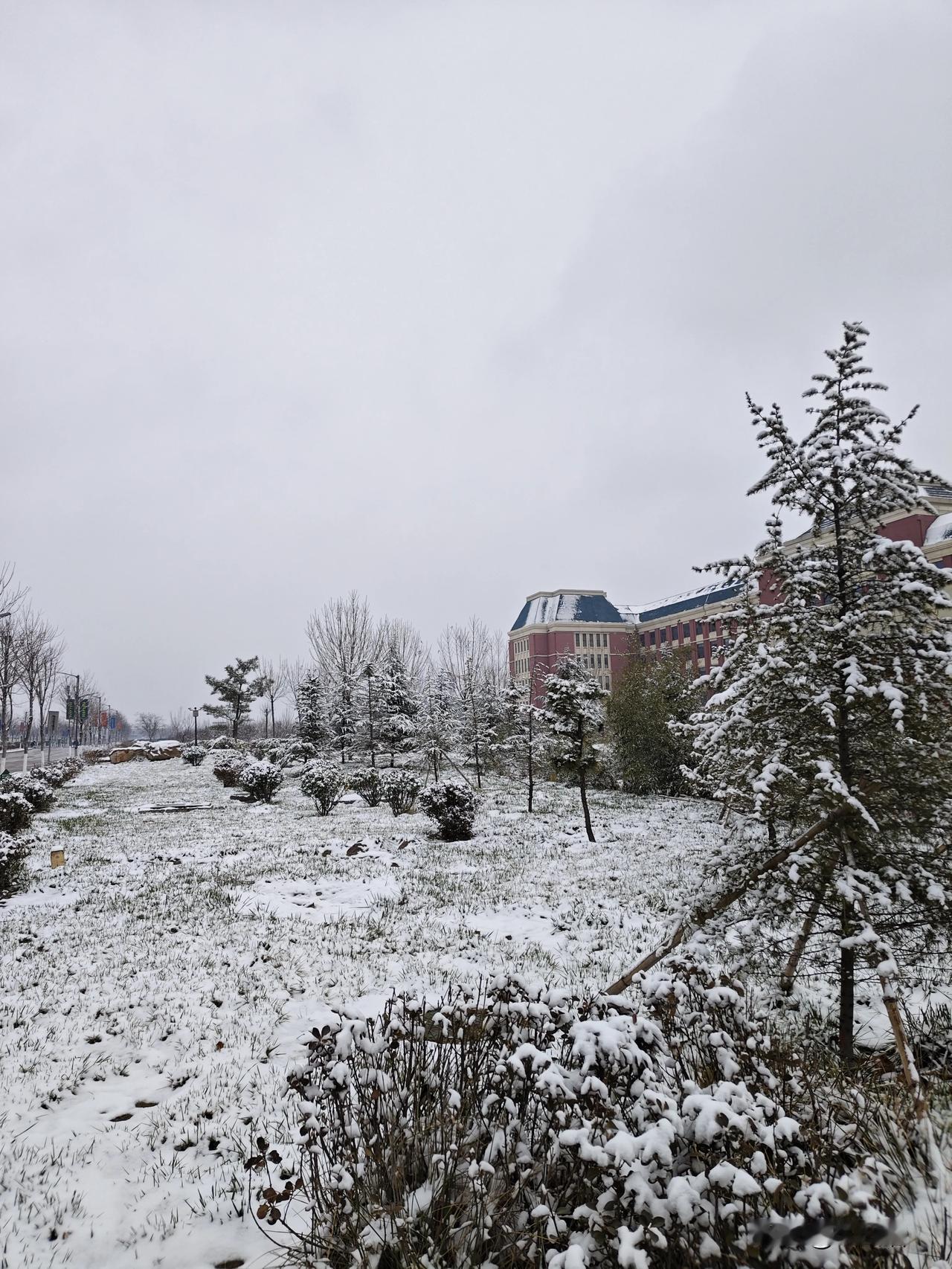 雪终于来了，早晨起床拉开窗帘，看到雪花在飞舞。站在窗前，静静听一会雪落下的