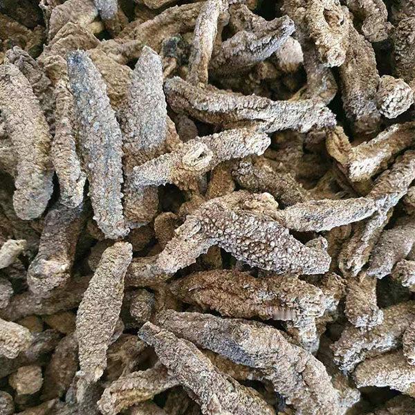 墨西哥贩毒集团发明了一种奇特的“货币”毒贩们使用干海参向中国化学品供应商进行非法