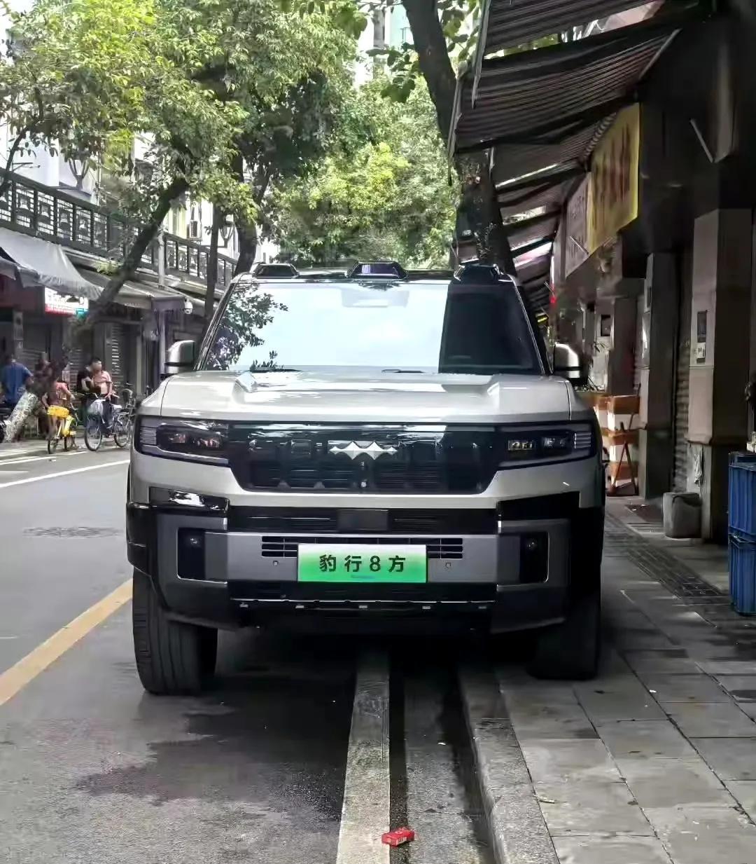 网友：方程豹如履平地，云辇P的具象化体现，你觉得咋样？