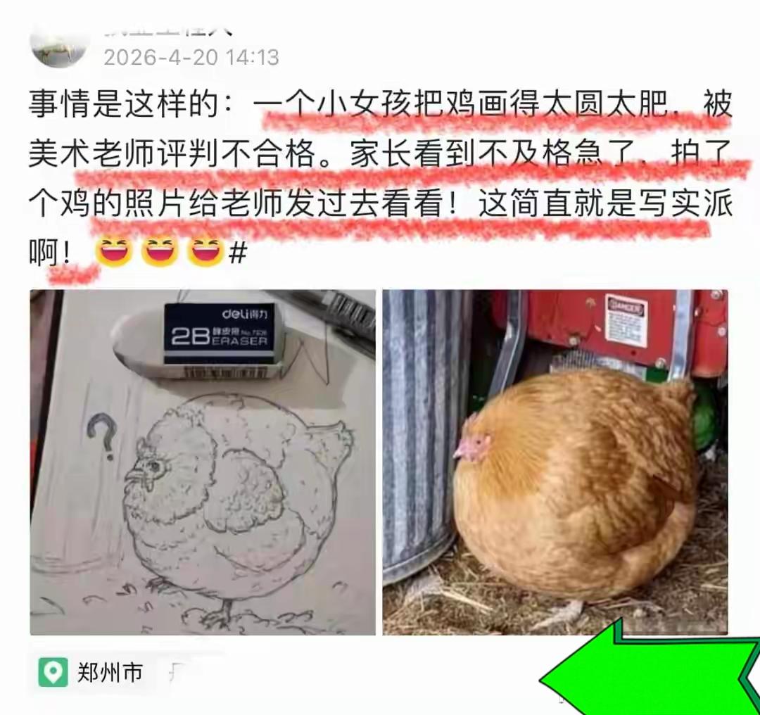 老师说我画的母鸡太圆不合格，看到真鸡后网友笑翻：孩子太冤了！女孩把母鸡画得