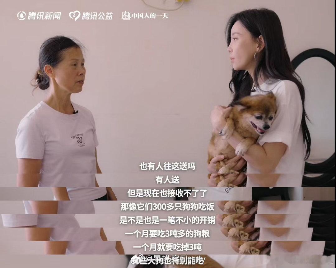 于文文呼吁不要残忍抛弃宠物北方的寒冬对于流浪小动物十分凶险，于文文和志愿者一同守