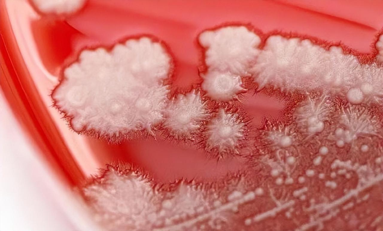 肝功能损害的风险，但多数病人不会出现严重的副反应，如果氟康唑耐药的话，则需要调整