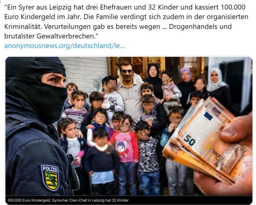 #外国人在德国#德国的国库就是这样被一点点地掏空的！😤在德国莱比锡市，一个来自叙利亚的阿拉伯大家族
