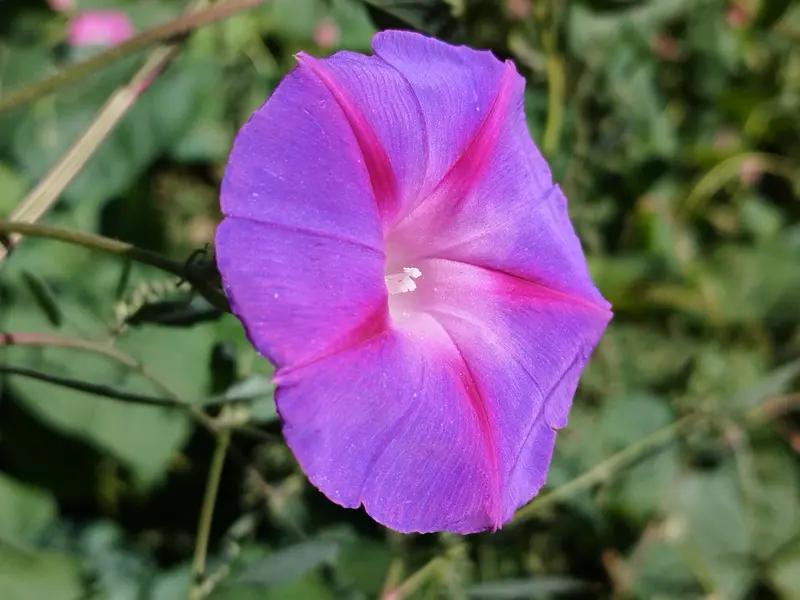 最近《自然》刊登的研究超厉害，科学家筛查14种精神疾病（像抑郁、焦虑和精神分