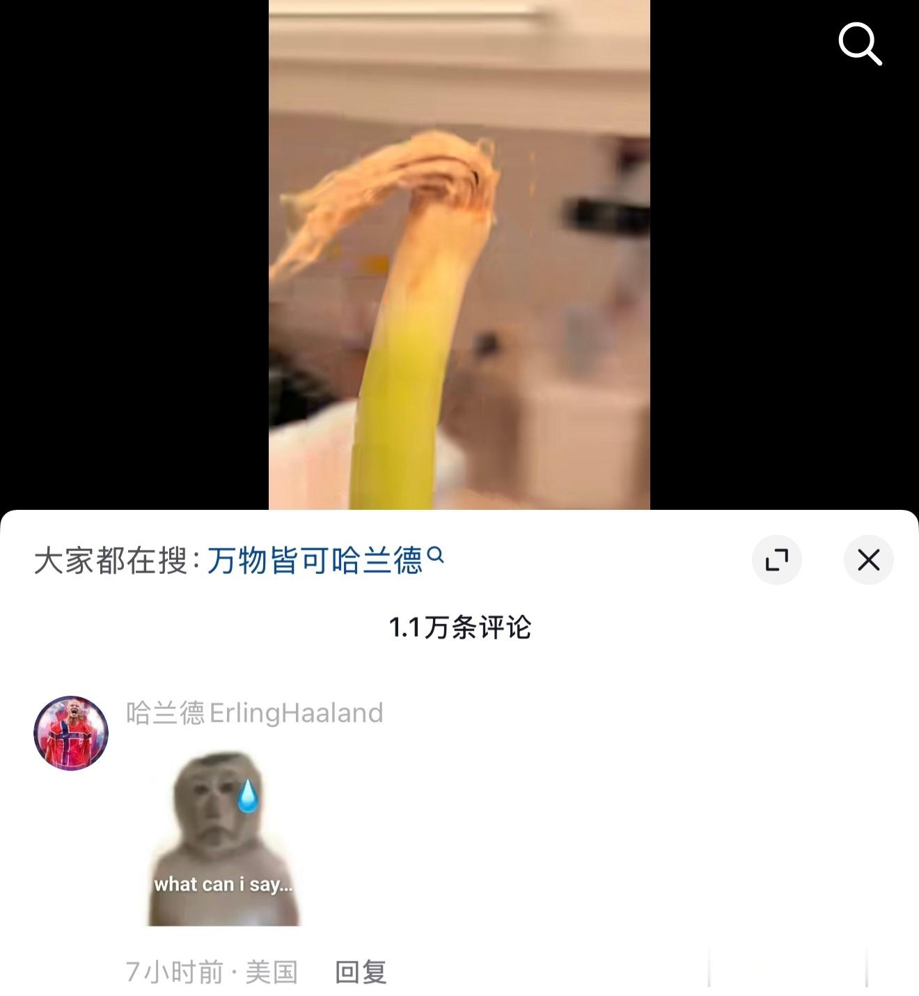 哈兰德：开庭的时候记得带上你的那根破葱