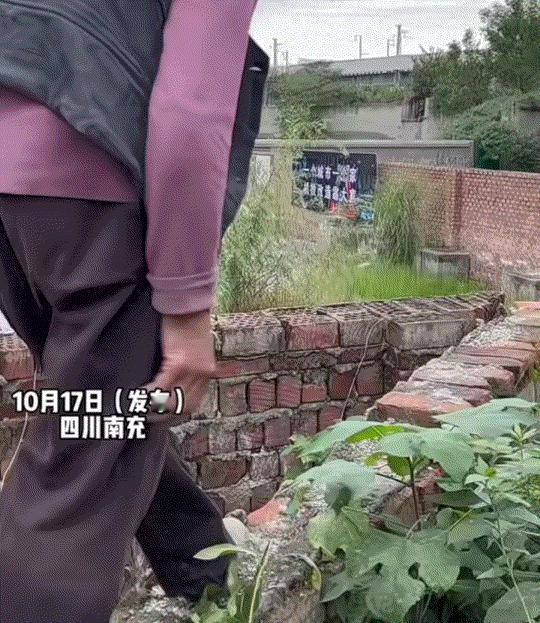 万万没有想到，四川南充，一小伙和76岁的姑婆去摘菜，结果回家时，姑婆不想绕远路，