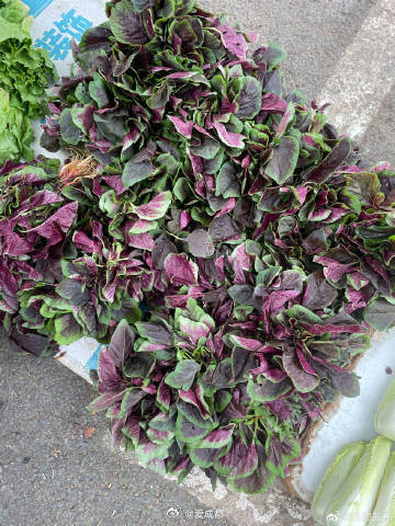 【走，去赶场！成都菜市场太好逛了】成都的菜市场五颜六色，真的太治愈了。走，一起来