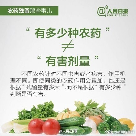 #羽衣甘蓝农药#果蔬农药残留，谁不害怕？不过，“检出农药残留”等于危害健康？其实，很多常识都是误解。