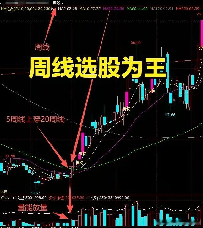 周线出现这4个信号，就是主升浪起点！新手也能稳抓红利炒股最愁的就是踩坑、错过主升