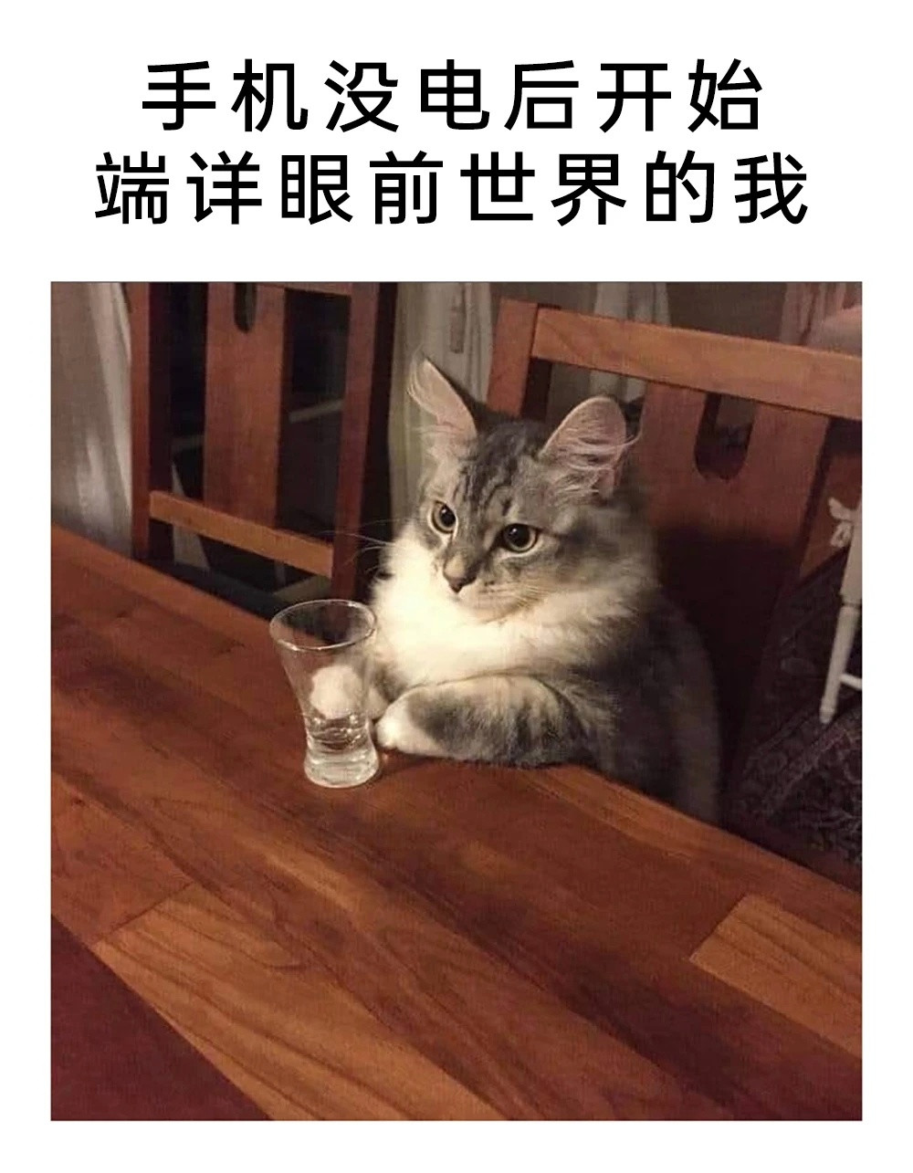 心情低落时请服用猫meme梗图套餐meme​​​