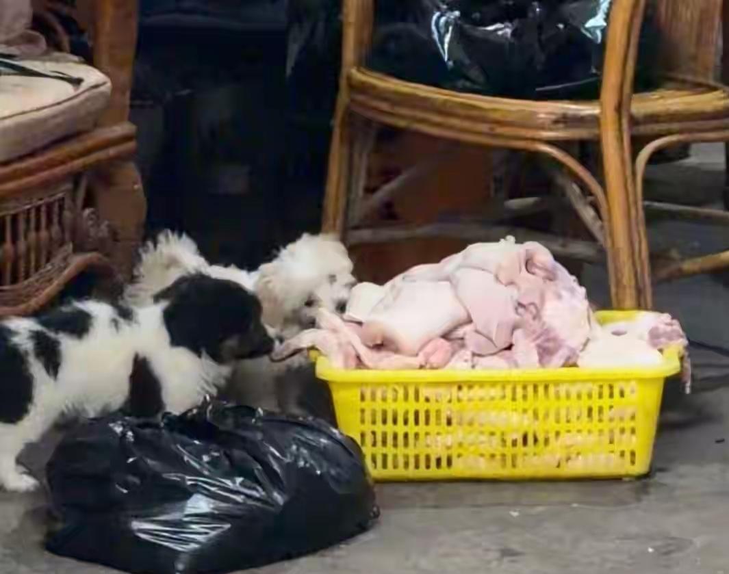 该卤肉铺终究因举报而被迫歇业，闻之着实令人称快。店主为一年长老者，平日总挂着一副