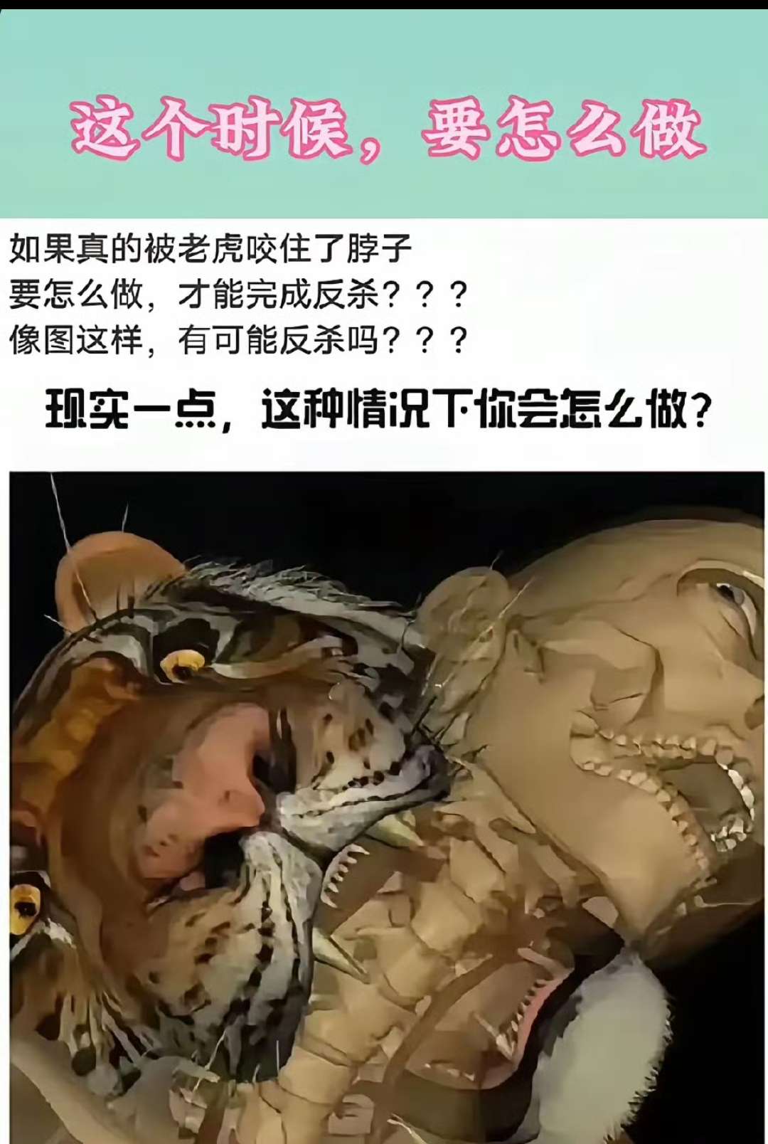 请问有没有反sha的可能？
