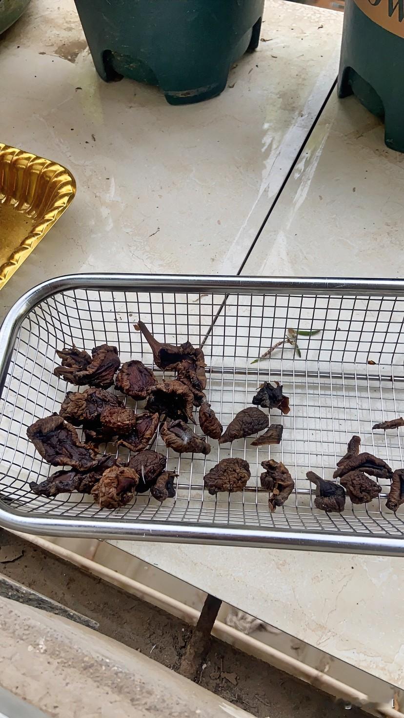 谁能认识这是什么？别人误以为是黑木耳！其实是我晾的咸菜干！我家老头还挺爱吃
