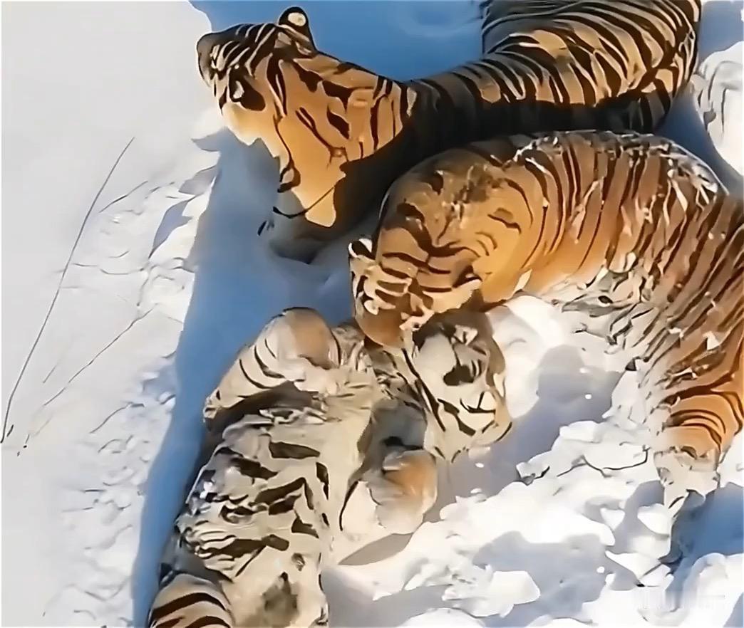 你觉得什么性格最吸引你包容的人不会斤斤计较，能接纳不同。