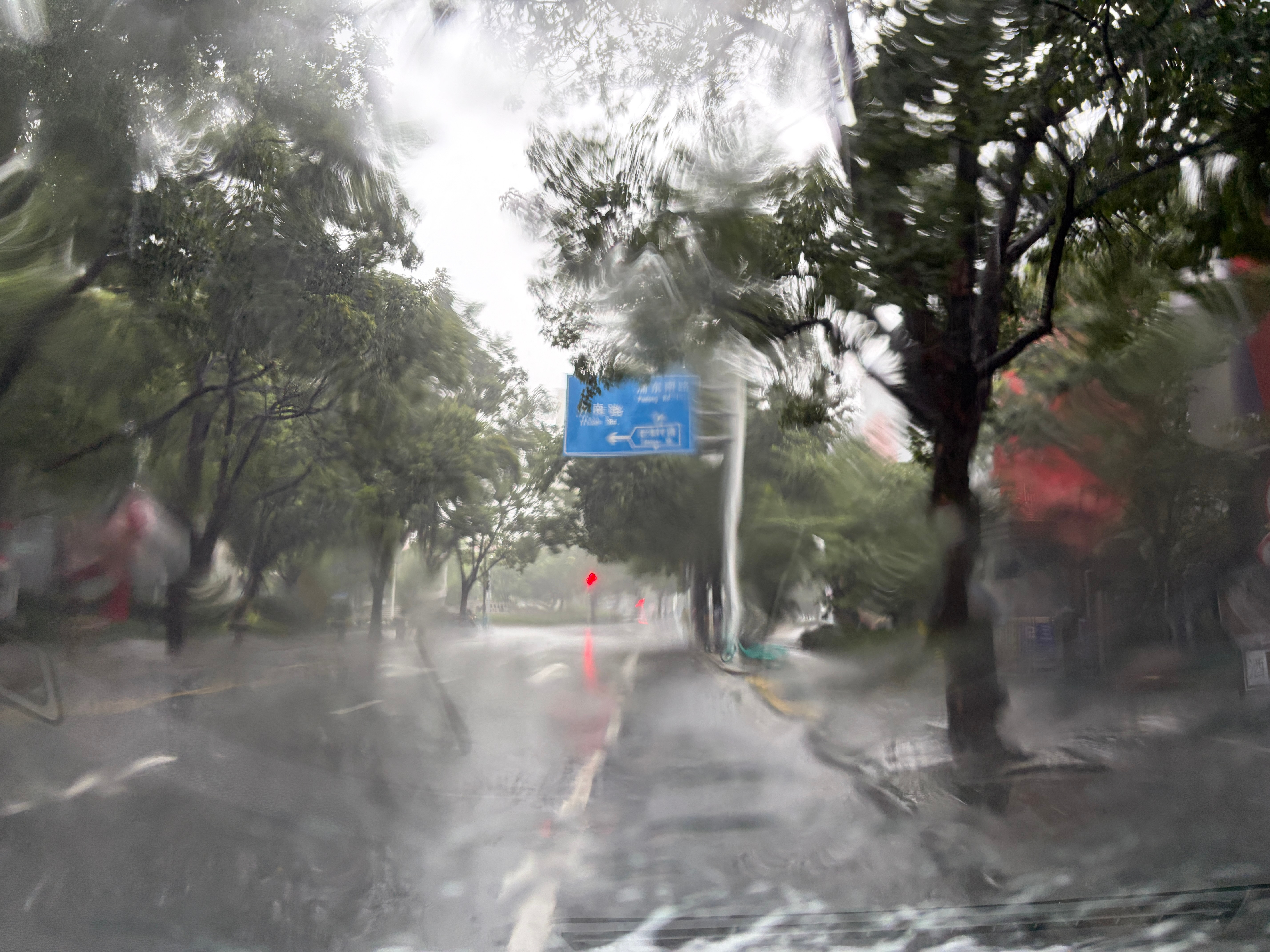 台风天出门上海台风上海·南码头