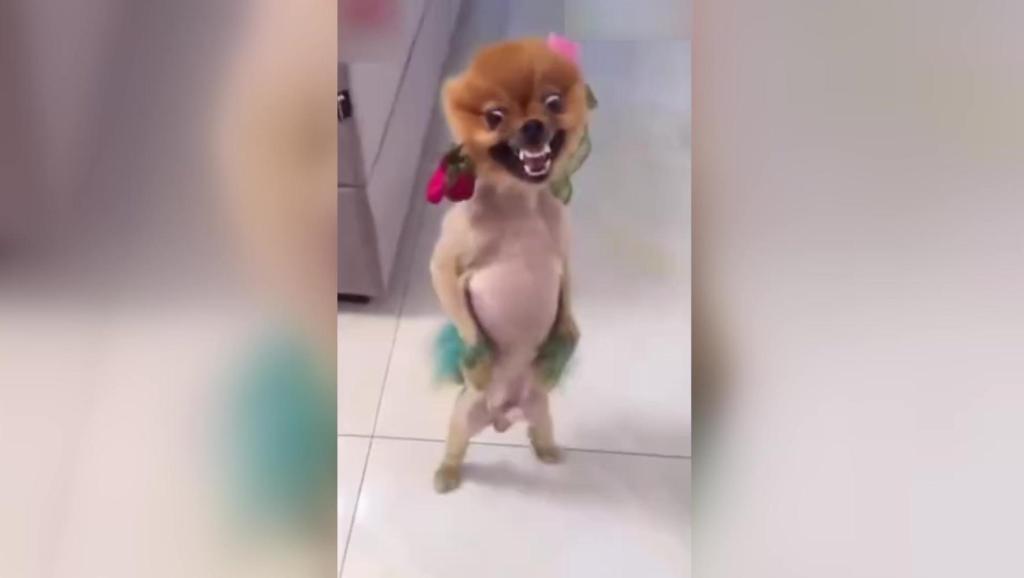 5223675212242836519.jpg?id=0