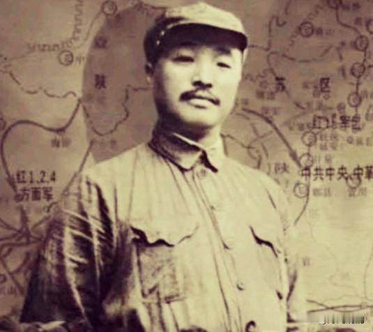 南昌起义失败后，贺龙流落上海。组织安排他去苏联学习，他没去。他说要回湘鄂西重新拉