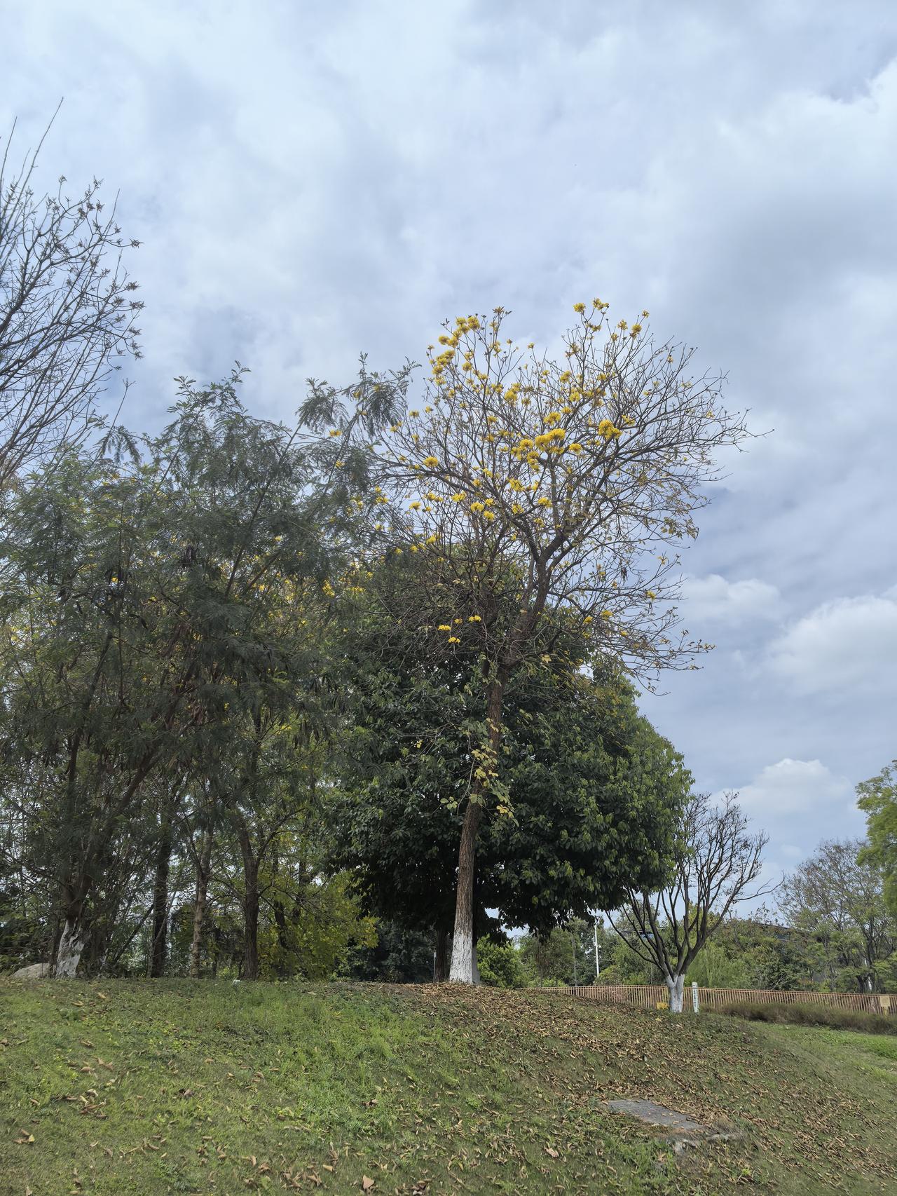 据彭博及航运信息，油轮“鼎衡36”“Auchentoshan”号周末向菲律宾运送