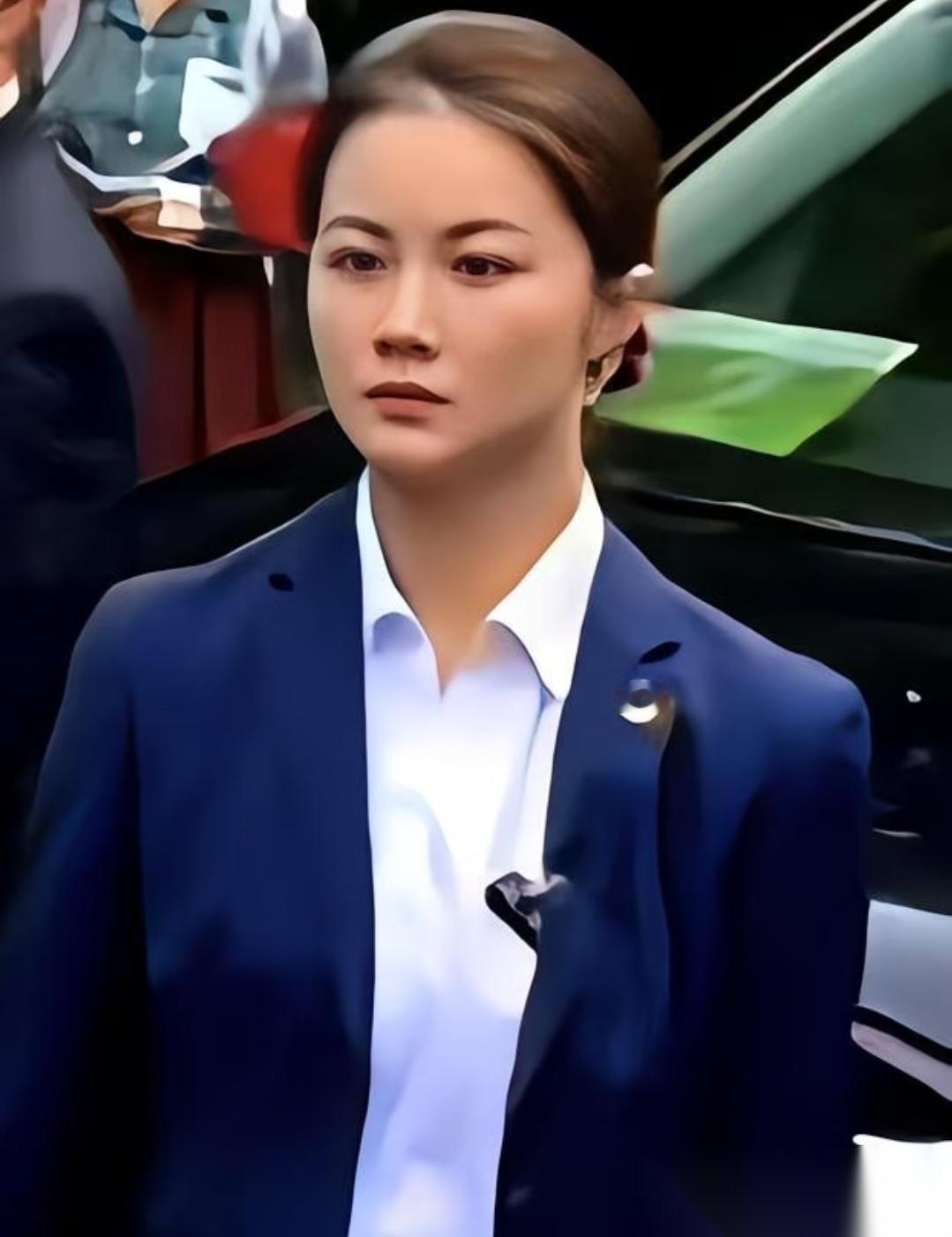 郑丽文从大陆回去后，在节目里絮絮叨叨念叨的，居然不是什么大好河山，而是大陆的安保